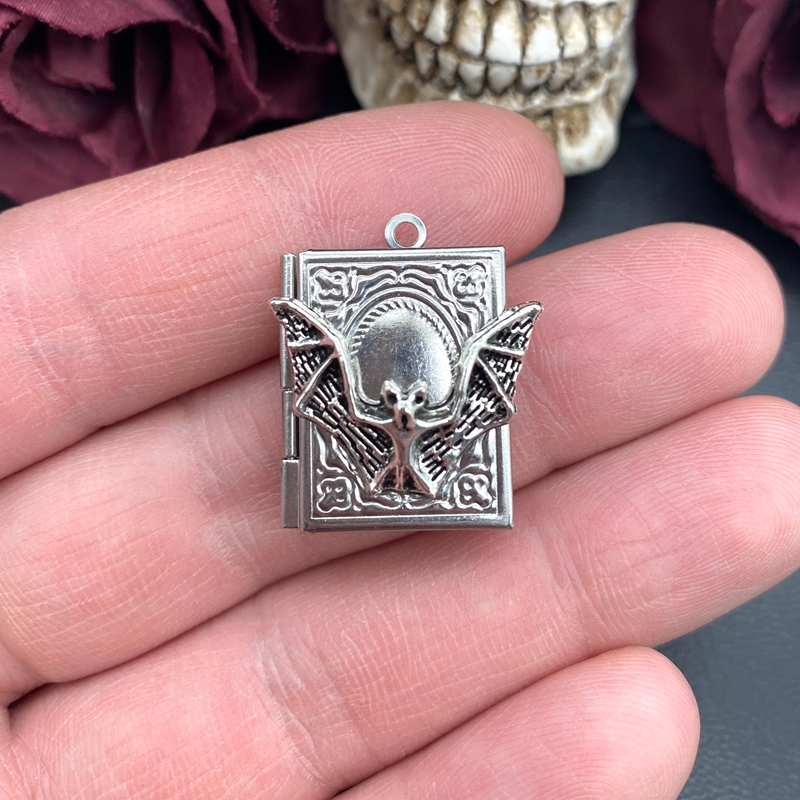 2pcs 27*22mm Bat Book Locket C - Jewelry Making Books avis et prix