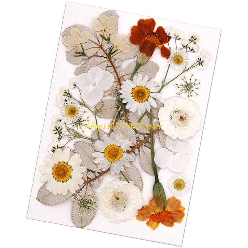 C4DF 22Pcs Dried Flower For Bo - Jewelry Making Party For Adults avis et prix